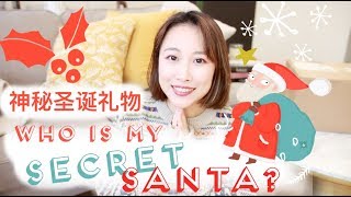 🎁一波神秘的礼物交换 | 亘古不变基友情 大洋彼岸塑料花 | Who is my secret Santa!!! | Olivia