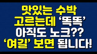 맛있는 수박 고르는데 '똑똑' 아직도 노크?? '여길' 보면 됩니다!!