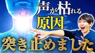 【喉声の原因】声が枯れる原因と、その対処法を3つ教えます