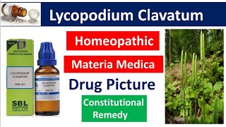 Lycopodium Clavatum Drug Picture | Materia Medica | Homeopathy #lycopodium #materiamedica #bhms