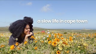 a slow life in cape town☀️ Viewing Franschhoek, Langebaan, Stellies and delicious meals at home