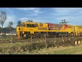 aurizon 2322d and 2302d basking in the evening sun