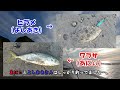 二泊三日の釣りキャンプ！【サーフ】