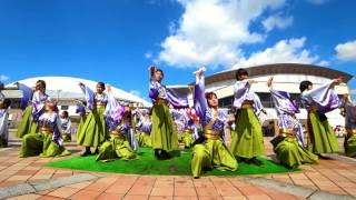 第16回　YOSAKOI かすや祭り 北九州市立大学よさこいサークル灯炎 交流会場