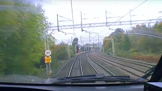 Why Do Leaves Cause Train Delays? | Bang Goes The Theory | Earth Science