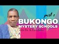 Bukongo with dr. Luyaluka part 2