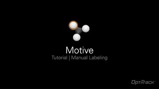 Motive Tutorial | Manual Labeling