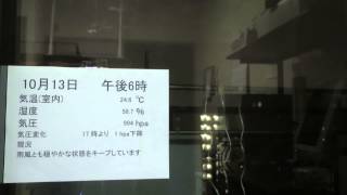 台風19号ライブ＠相模原　18時