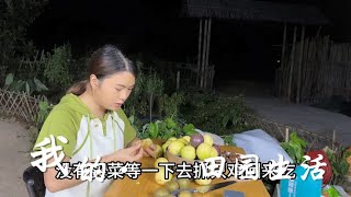 小九跟徐姐去鸡场抓鸡，没想却有人在里面偷鸡，把小九吓一跳