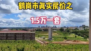 鹤岗市真实房价之十三厂家属房，1 5万一套鬼哥实地探房现场谈价