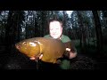 tench fishing in midsummer video 149