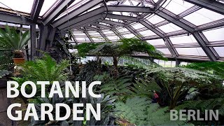 BERLIN | Botanic Garden – Full Tour | Camellia Blooming 4K LIVE - Berlin Walking Tour