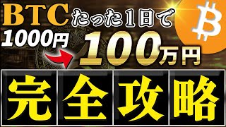 【ビットコイン】今が大チャンス！一晩で資産1000倍になる投資術を徹底解説！【ハリポタイヌ】【仮想通貨】