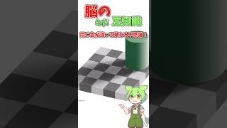 【雑学】同じ色が違って見える？！#錯覚#豆知識 #shorts #科学 #ずんだもん