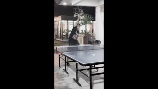 TABLE TENNIS PRANK