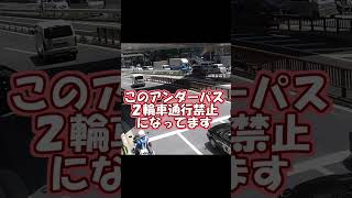 【警察２４時】アンダーパス取り締まりのFJR白バイさん　#shorts