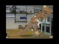 CNC Design Large 8 x 4 CNC Machine Cutting 12mm Plywood