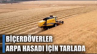 Çiftçi Verimden Mutlu! 570 Bin Dekarda Arpa Hasadı! / AGRO TV HABER