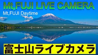 紅葉の山中湖、今が旬\