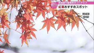 まだ間に合う！　大分県内のおすすめ紅葉スポット３選【大分】 (22/11/22 16:28)