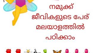 മലയാളത്തിൽ ജീവികളുടെ പേര് പഠിക്കാം  പ്രാണികൾ ജന്തുക്കൾ ..  😎👍 learn malayalam names of lives🐜🐞🦎