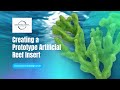 Creating a Prototype Artificial Reef Insert | Creative Coral Design