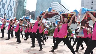 札幌市立大学～真花～ よさこいソーラン祭り2023  6.11  札幌駅南口広場