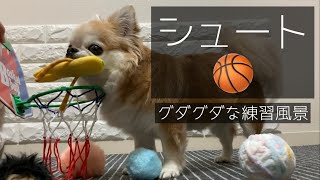 「シュート🏀」グダグダな練習風景