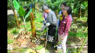 第四屆大專生洄游農村計畫─嘉義大學園藝系【大家一起來做嘉柿】