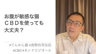 お腹が弱いてんかん猫。CBDオイルでも食物有害反応を起こす可能性はありますか？