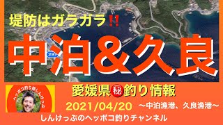 【愛媛県㊙️釣り情報】この時期は愛南町でも厳しいのかな？堤防はガラガラ海の中は？