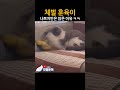 이 정도면 많이 참아준 듯 ㅋㅋㅋㅋ