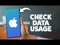 How To Check Cellular Data Usage On iPhone 2026 (Step-By-Step Tutorial)