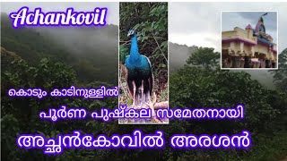 #travel ..Achankovil.. ഏതു കൊടിയ പാമ്പിൻ വിഷത്തിനും ഇവിടെ ..