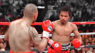 KNOCKOUT!! Intense Fight | Manny Pacquiao Contra Miguel Cotto FULL FIGHTS HIGHLIGHTS