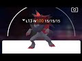 How to catch zorua iv 100 Pokemon Go