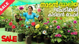 sale 2 ദിവസത്തേക്ക് നാടൻ ചെടികളുടെ കിടിലൻ offer സെയിൽ