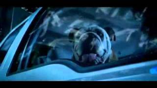 Toby Keith Abduction