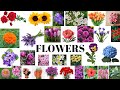 FLOWERS NAMES