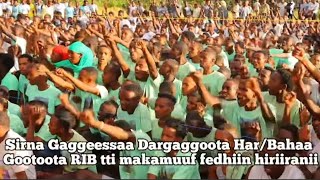 Harargee Bahaatti Sirna Gaggeessaa Dargaggoota RIB'tti Makamaniif Taasifame Sadaasa 2017