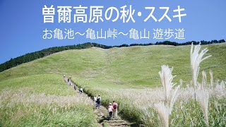 曽爾高原　秋のススキ 2021（お亀池～亀山峠～亀山）