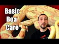 Basic Boa Care!