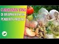 INI DIA !! 5 Makanan Yang  Dianjurkan Untuk Penderita PROSTAT