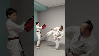 Spinning hook kick 後ろ回し蹴り冗談 Ushiro Mawashi Geri Jodan / Uechi ryu Karate Hozonkai 龍敏道場 Ryubin dojo