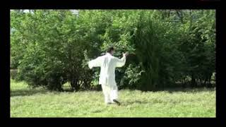 楊式129式太極長拳快拳、藏拳 Yang Style Tai Chi Chang Quan 129 movements 劉勝君 Liu Shengjun