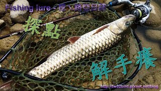 2018/04 【苗栗】探點釣卷仔(捲仔、何氏棘魞 Spinibarbus hollandi) Fishing lure / 渓流釣り in 中港溪