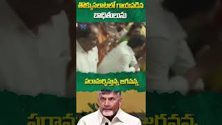 బాధితులును పరామర్శిస్తున్న జగనన్న#cmchandrababu #pawankalyan #ysjagan #apnews #ytshorts