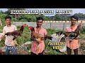 Chandapura Aseel Market Full Detail Video Aseel NatiKoli Ducks Giriraja Lovebirds And more