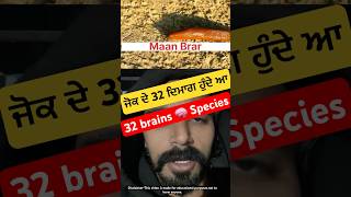 ਜੋਕ ਦੇ 32 ਦਿਮਾਗ ਹੁੰਦੇ ਆ #maanbrar #32mind #32brains #News18Punjab #punjabitravelcouple #education #m