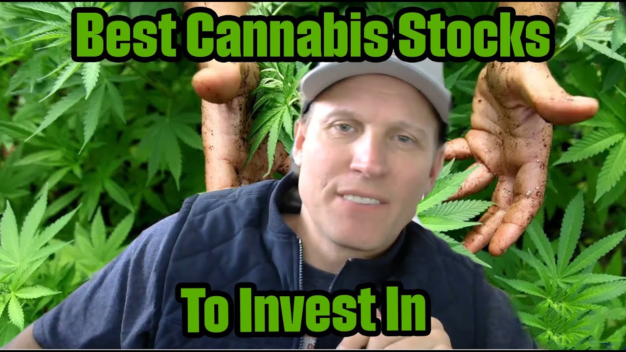 Best Cannabis Stocks To Invest In - YouTube